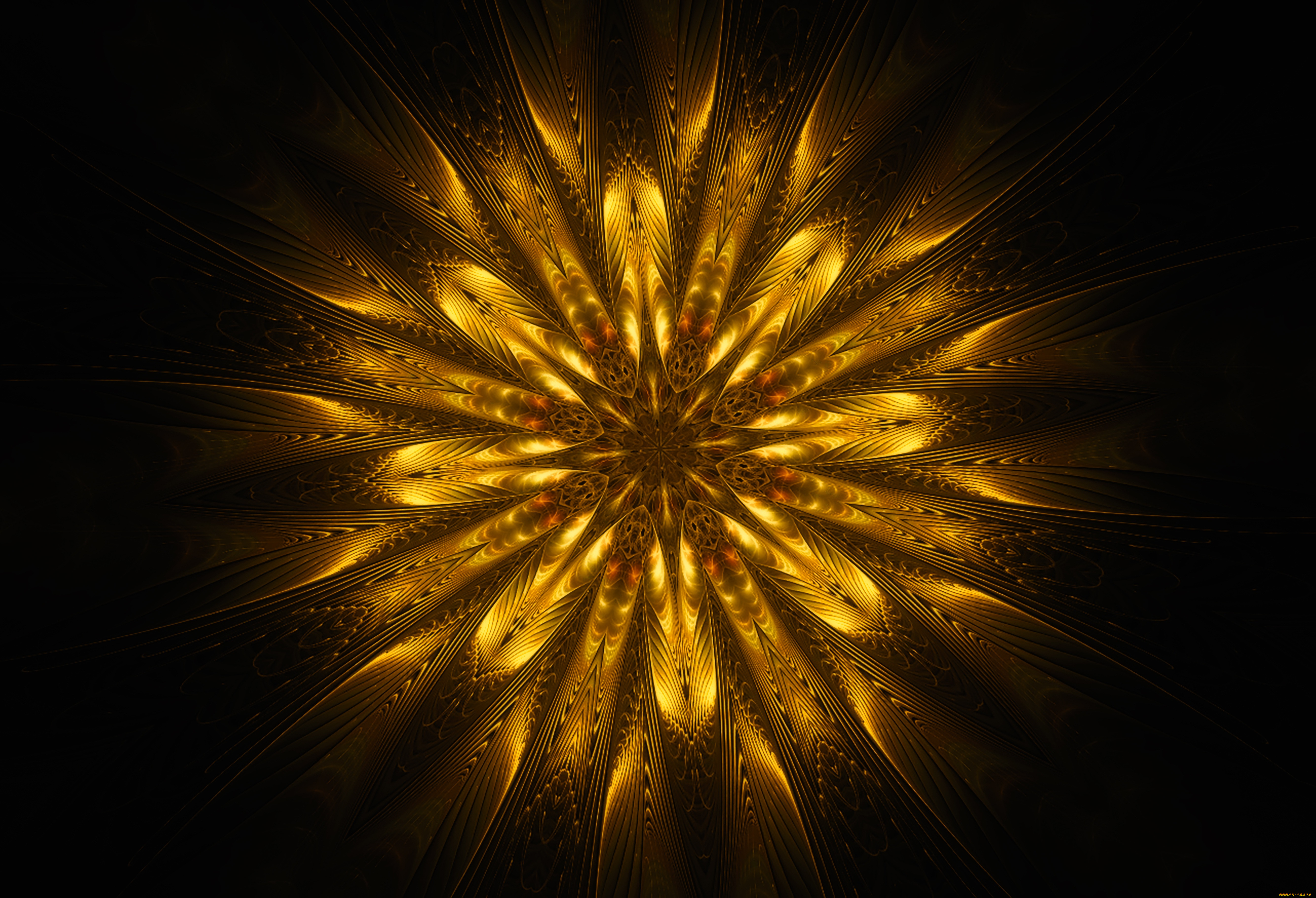 3 ,  , flowers, 